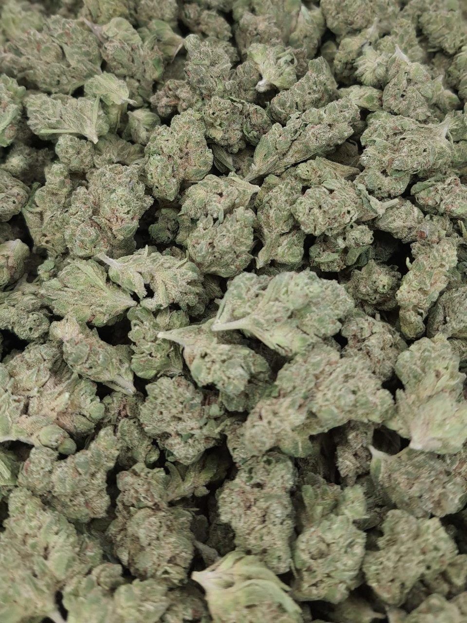 Cola Smalls Light Assist Thca Flower Bulk Cola Thca Flower Smalls On Light Assist