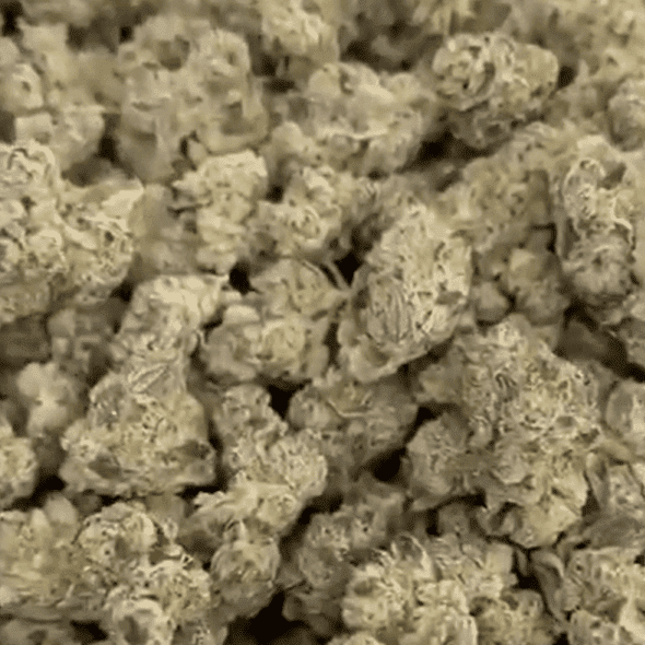 Gas Face Exotic Thca Flower Gas Face Exotic Thca Flower