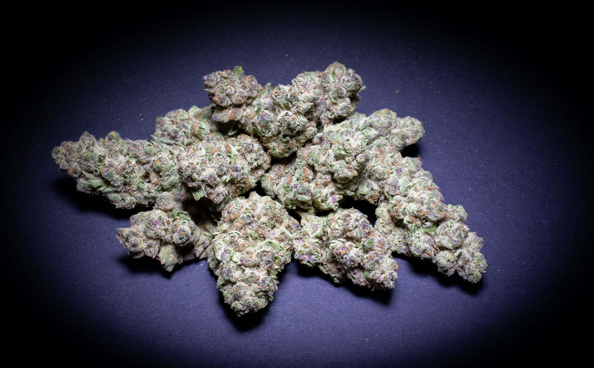 Super Boof Light Assist Thca Flower Super Boof Light Assist Thca Flower