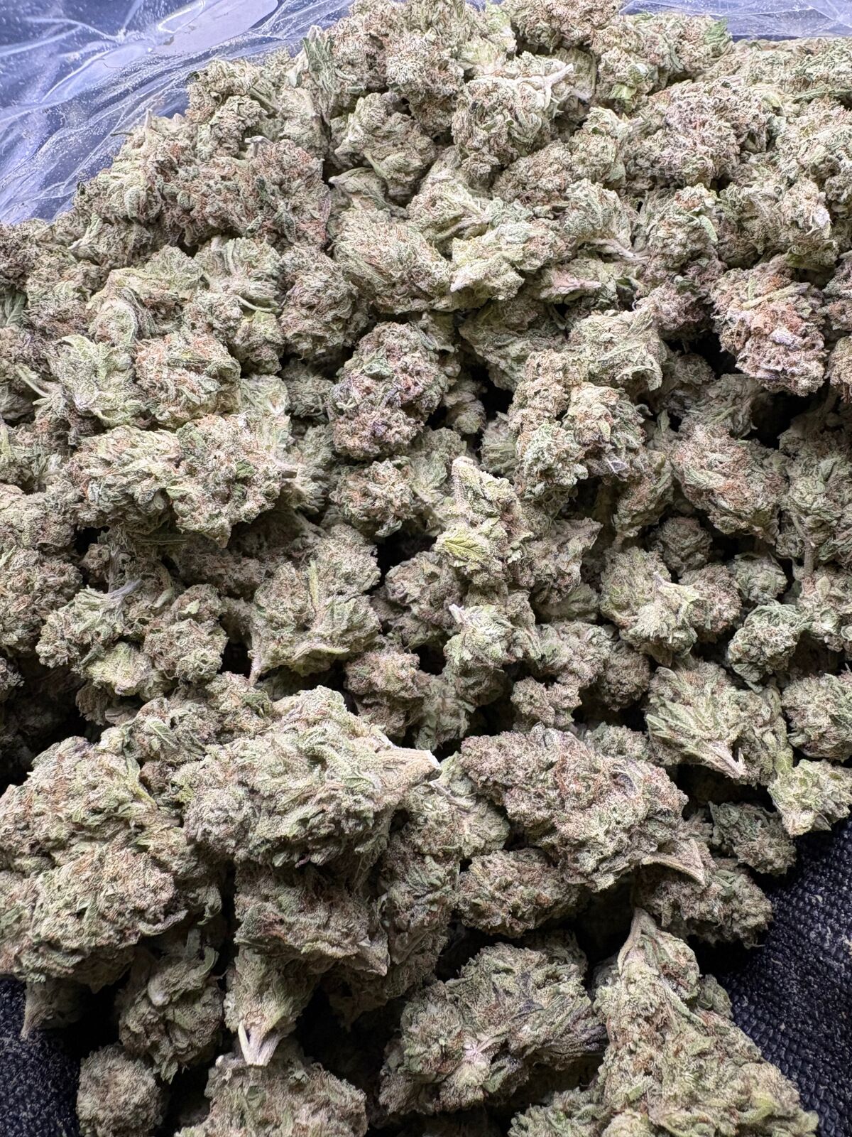 Orangesicle Light Assist Thca Flower Bulk Orangesicle Light Assist Thca Flower