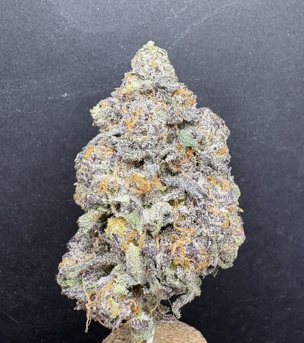 Jealousy Exotic Thca Flower Jealousy Exotic Thca Flower