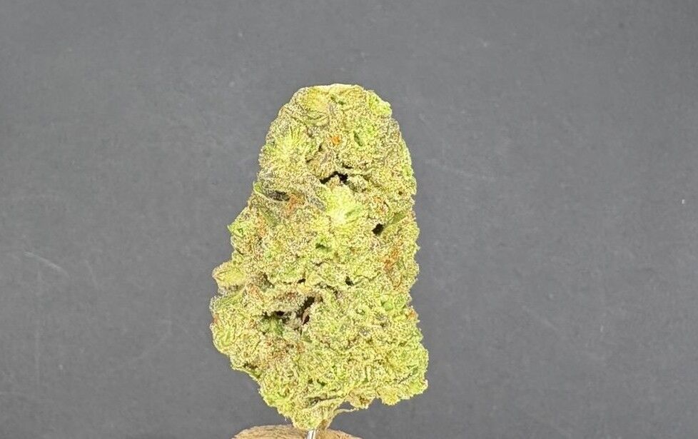 Kush Mintz Exotic Thca Flower Kush Mintz Exotic Thca Flower