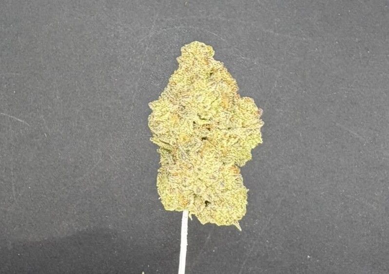 Orangesicle Light Assist Thca Flower Orangesicle Light Assist Thca Flower
