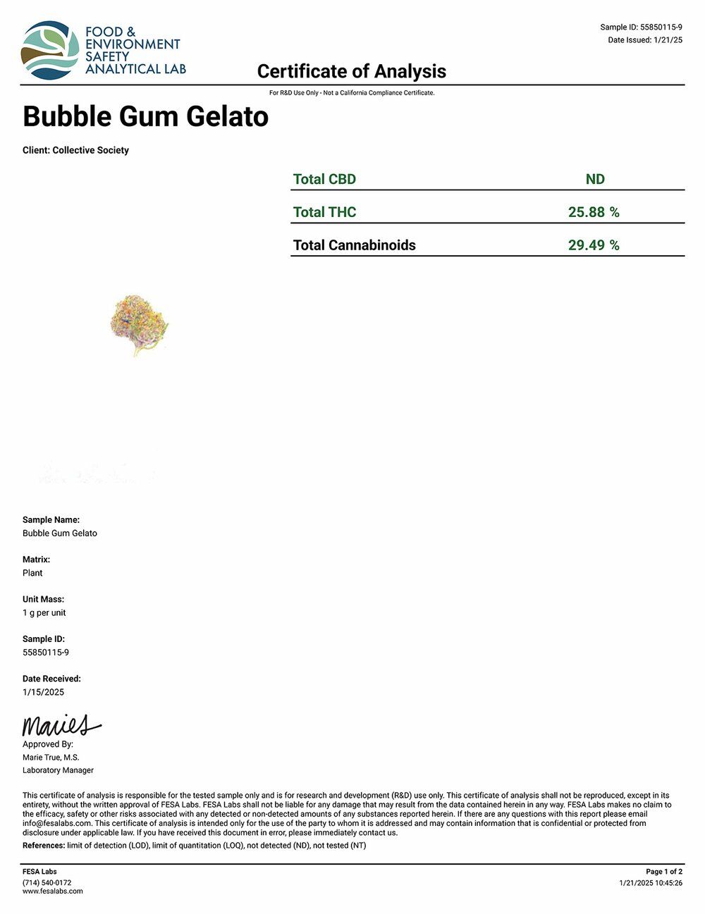 DoughLicious Bubblegum Gelato Exotic THCA Flower COA 1-21-25