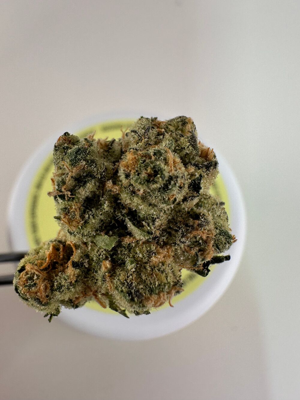 Lost Jane Turbo Lemon Cake Exotic Thca Flower - Sativa Lost Jane Turbo Lemon Cake Exotic Thca Flower - 4G - Sativa