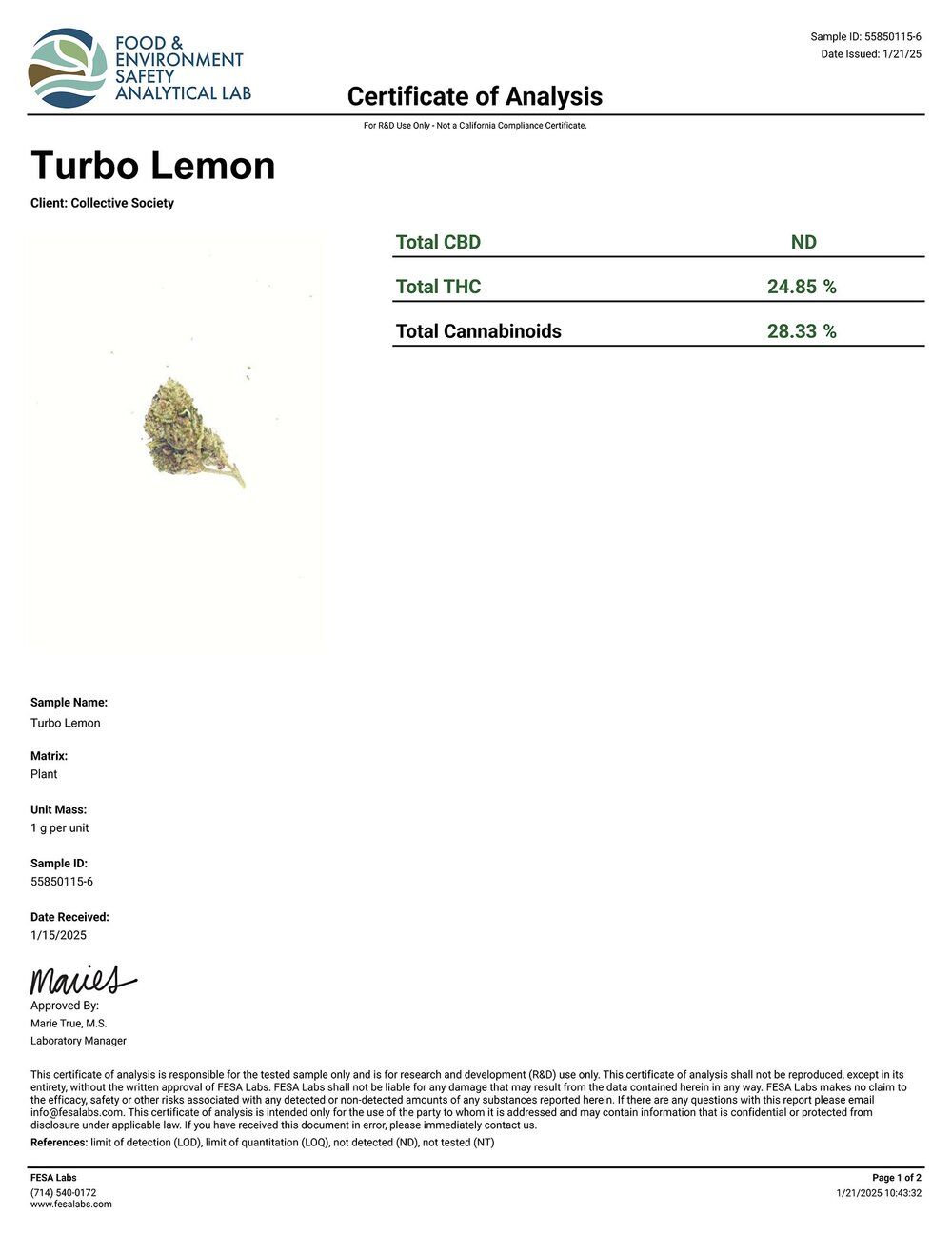 Lost Jane Turbo Lemon Cake Exotic THCA Flower COA 1-21-25