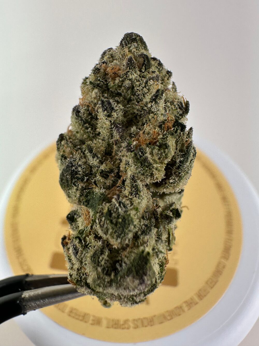 Lost Jane Vanilla Souffle Exotic Thca Flower - Indica Lost Jane Vanilla Souffle Exotic Thca Flower - 4G - Indica