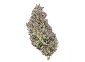Jacksonville, Oregon Bulk Hemp Flower