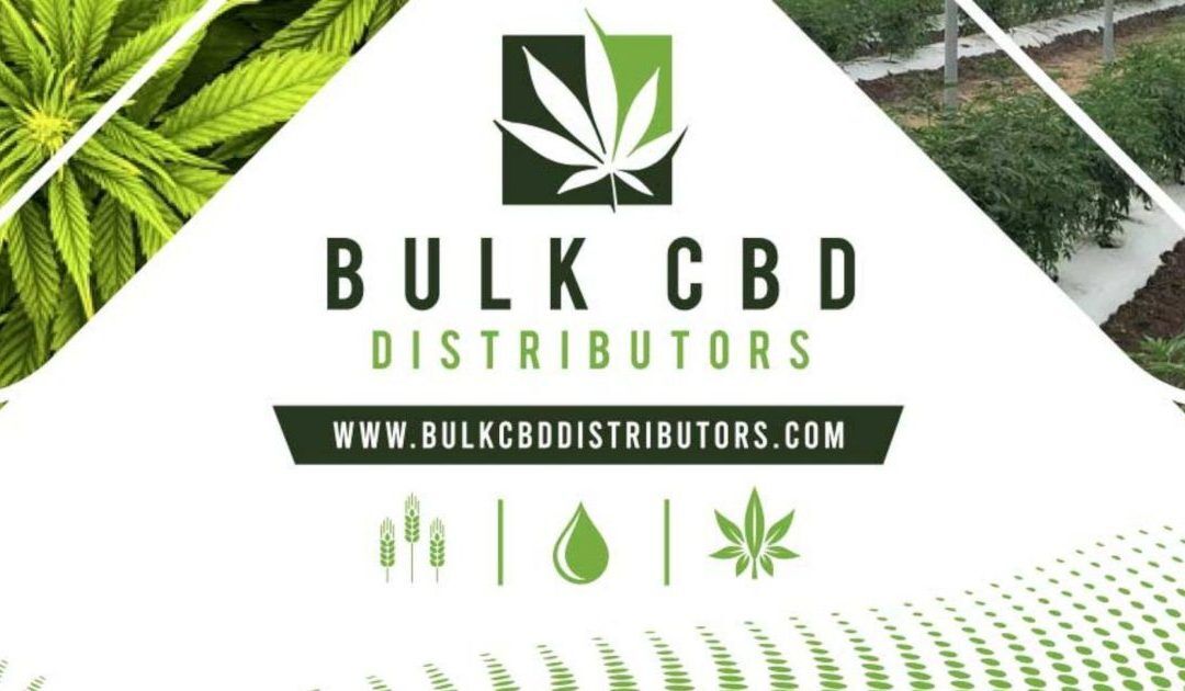 How to Source Wholesale CBD: The B2B Buyer’s Complete 2026 Guide