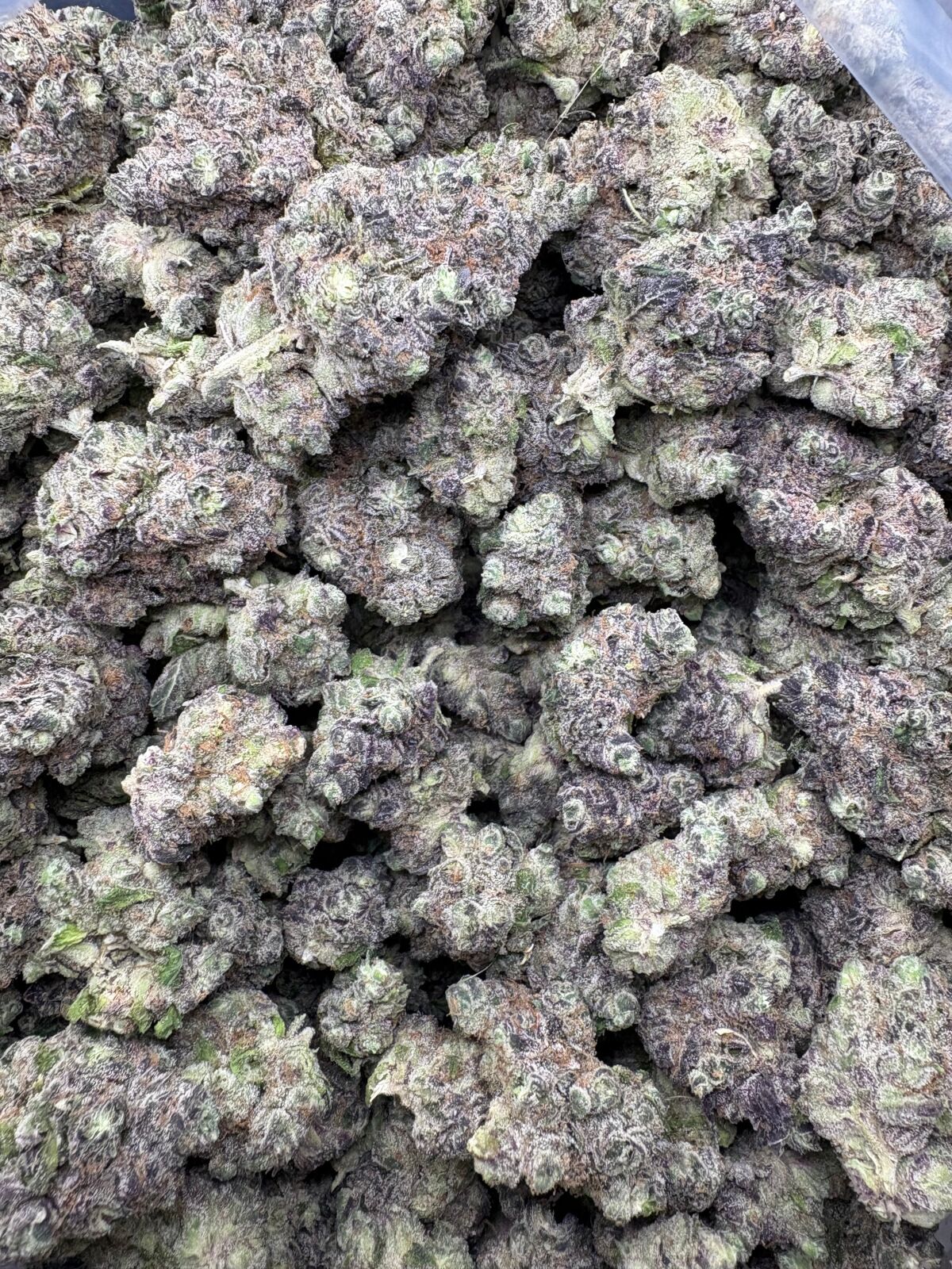 Butter Slut Indoor Thca Flower Bulk Butter Slut Indoor Thca Flower