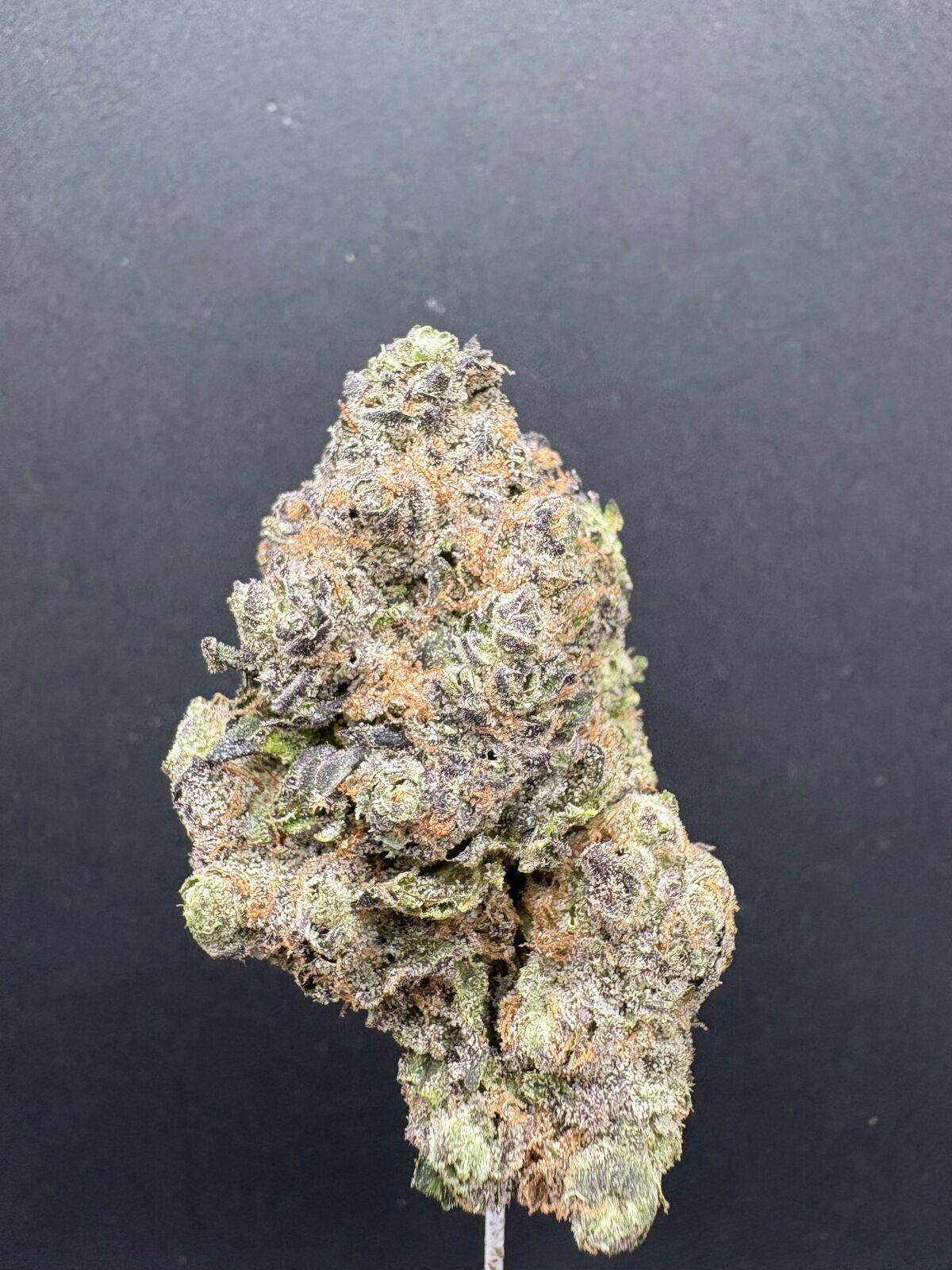 Butter Slut Indoor Thca Flower Butter Slut Indoor Thca Flower