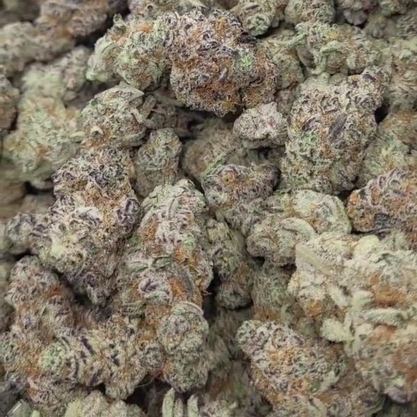 Garlic Cane Exotic Indoor THCA Flower