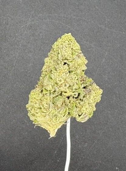 Shaved Ice Light Assist THCA Flower