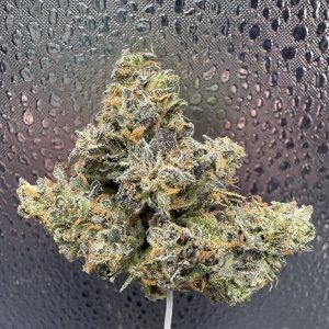 White Runtz Indoor THCA Flower
