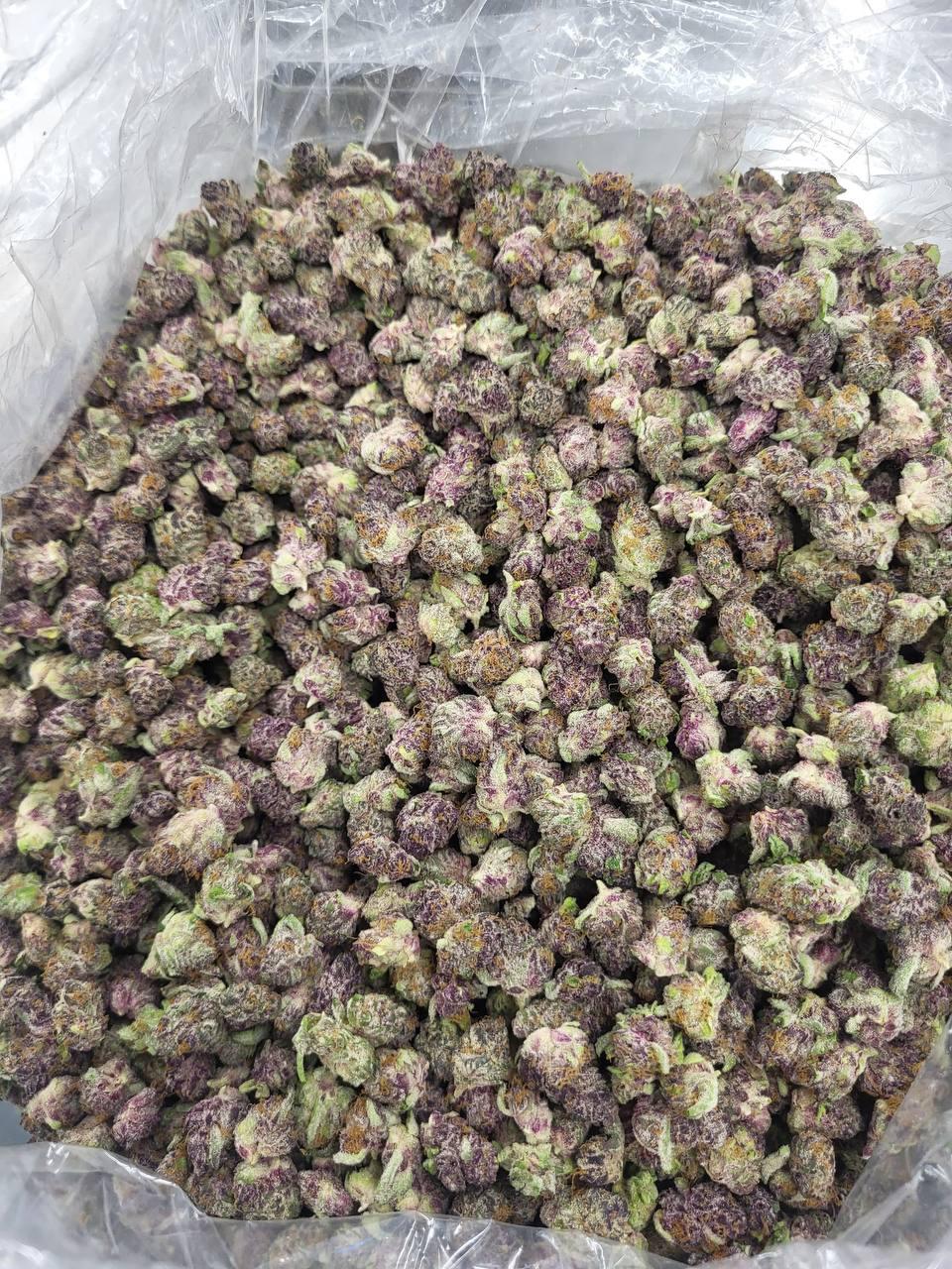 Blockberry Smalls Zaza Thca Flower Blockberry Smalls Zaza Thca Flower