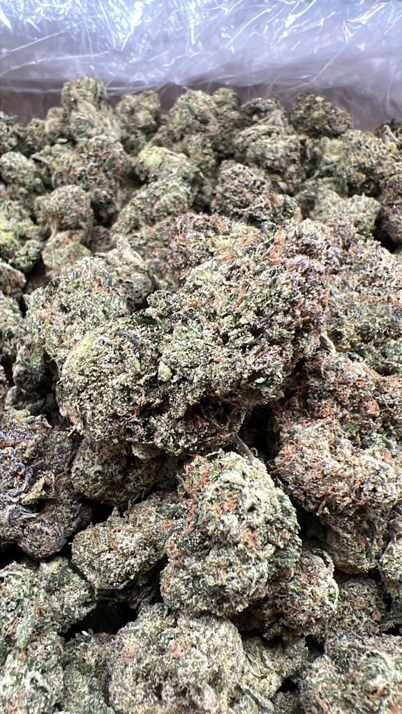 Chocolato Exotic Thca Flower Chocolato Exotic Thca Flower