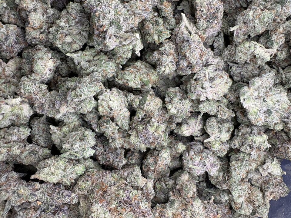 Gmo Indoor Thca Flower Gmo Buds Indoor Thca Flower