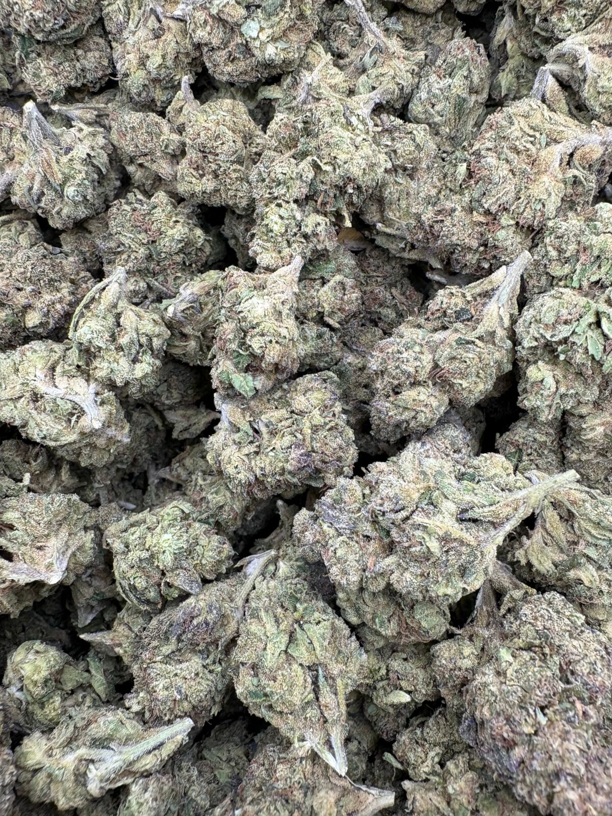 Blueberry Space Cake Exotic Thca Flower Bulk Blueberry Space Cake Exotic Thca Flower