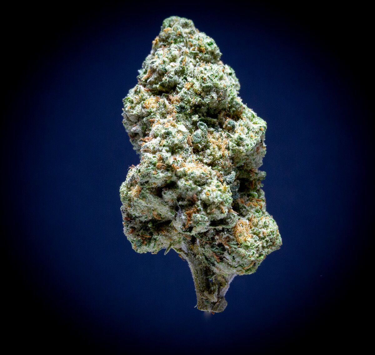 Dosidos Light Assist Thca Flower Dosidos Light Assist Thca Flower