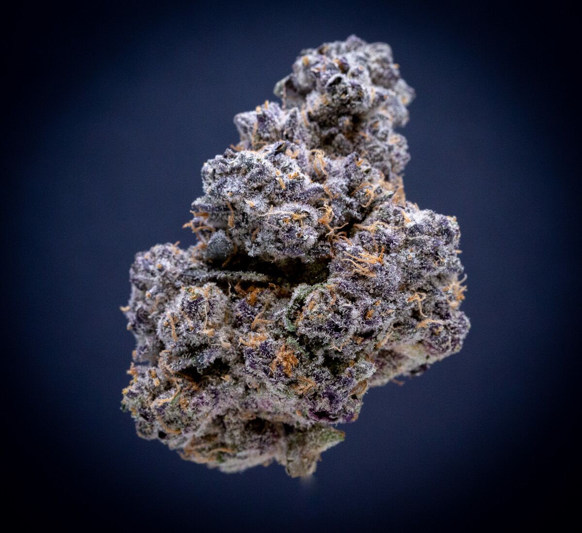 Laser Fuel Exotic Thca Flower Laser Fuel Exotic Thca Flower