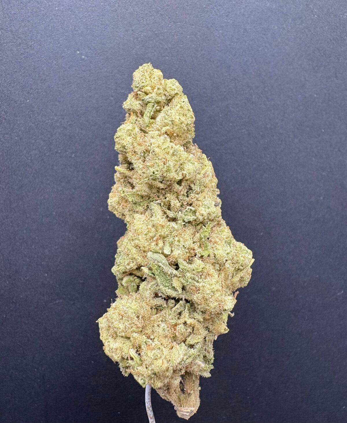 Spritzer Indoor Thca Flower Spritzer Indoor Thca Flower