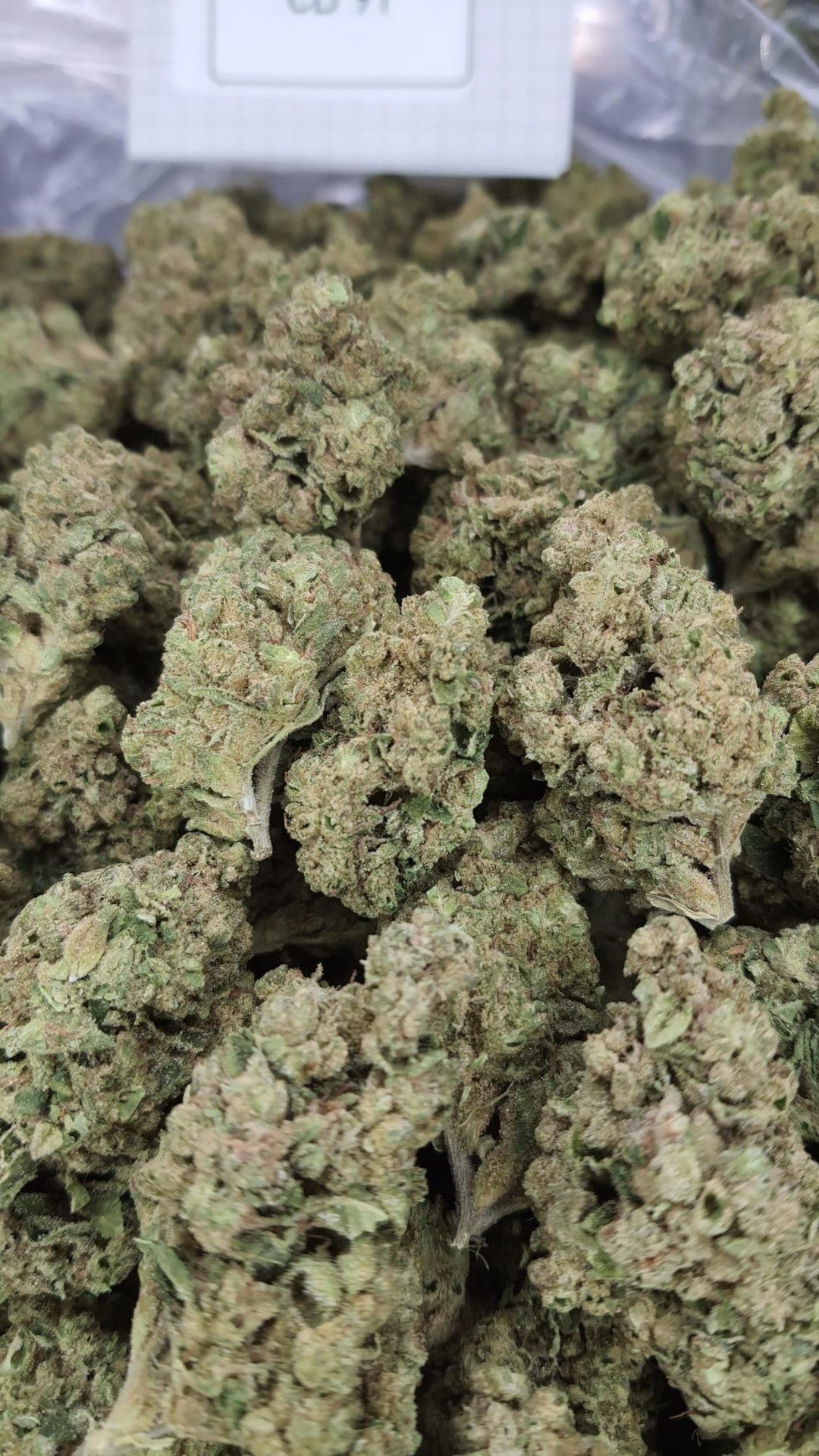 Cd91 Smalls Light Assist Thca Flower Cd91 Smalls Light Assist Thca Flower