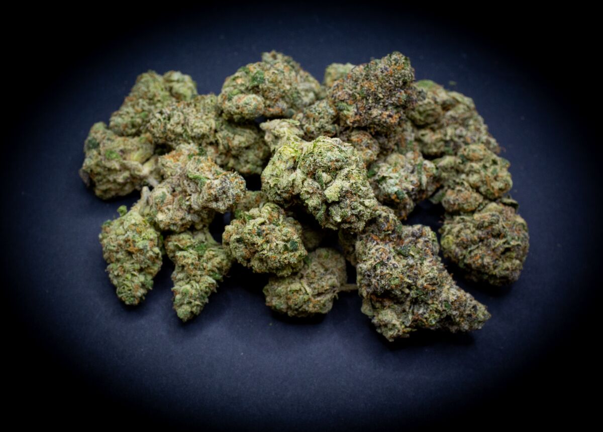 Gorilla Glue #4 Exotic Thca Flower Bulk Gorilla Glue #4 Exotic Thca Flower