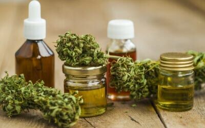 The CBD Startup: How to Develop Successful CBD Products