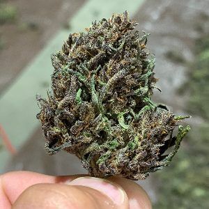 Private &Amp; White Labeling Private &Amp; White Labeling 1568310222 Buegeniushempflowerforsale 2