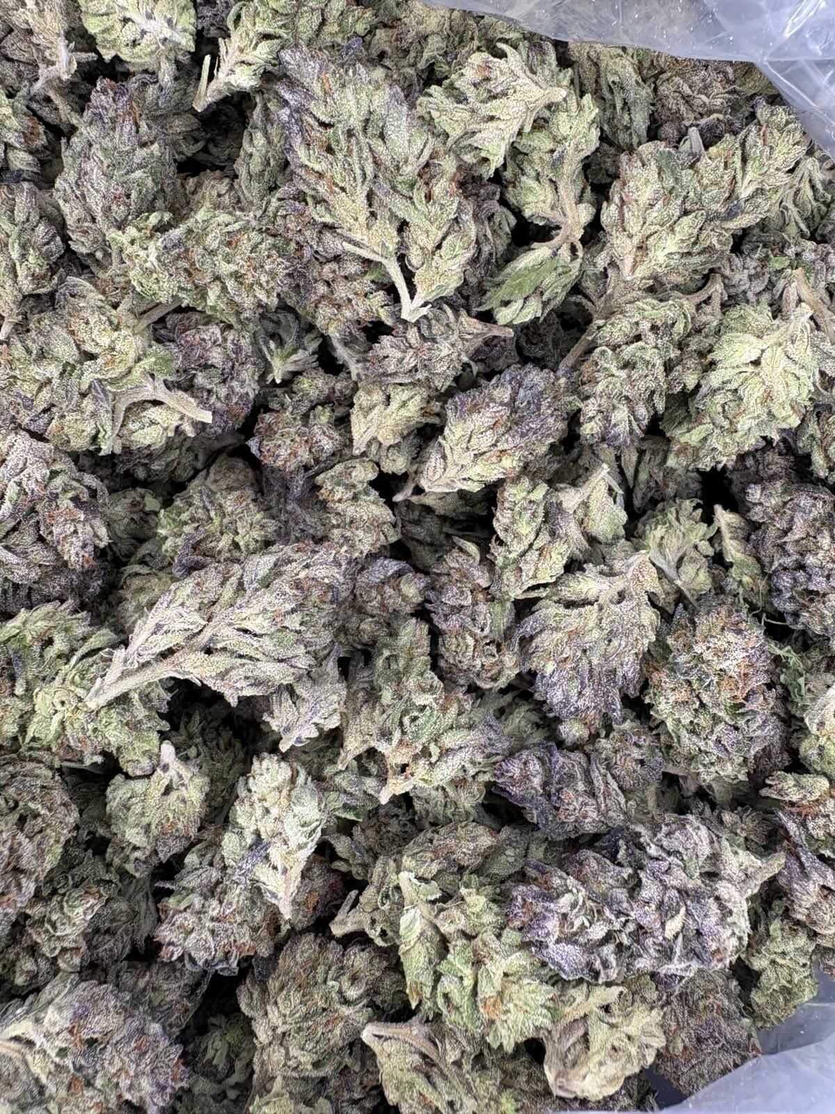 Gelato 33 Light Assist Thca Flower Gelato 33 Buds Light Assist Thca Flower