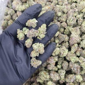 Banana Daddy Smalls Zaza THCA Flower