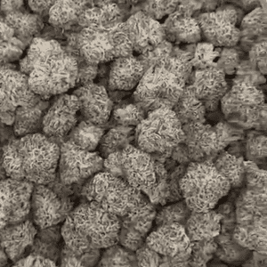 Black Ice Exotic THCA Flower