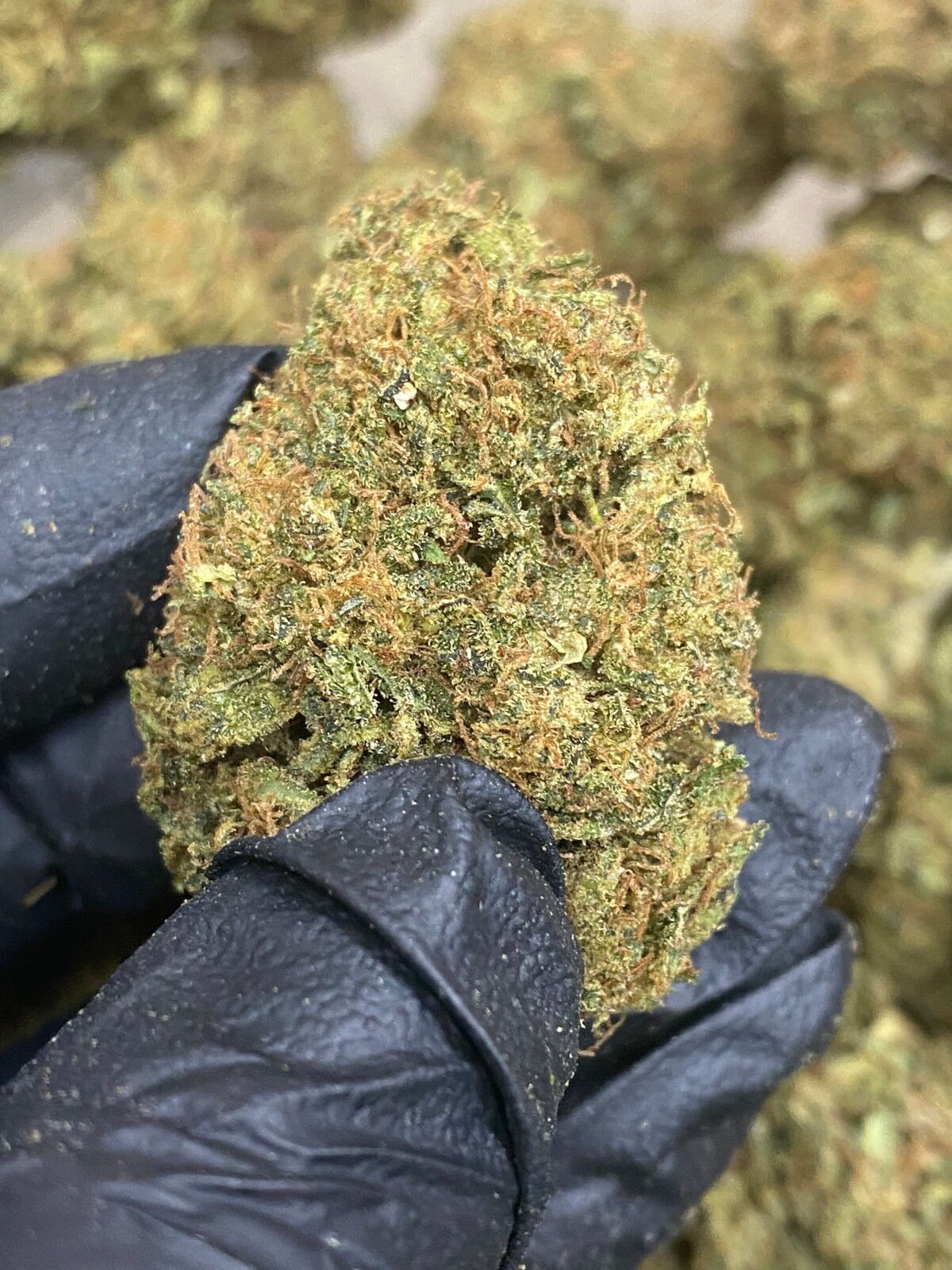 Sour Lifter Cbd Flower Bulk Sour Lifter Cbd Flower