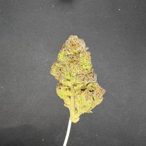 Biscotti Cream Indoor THCA Flower