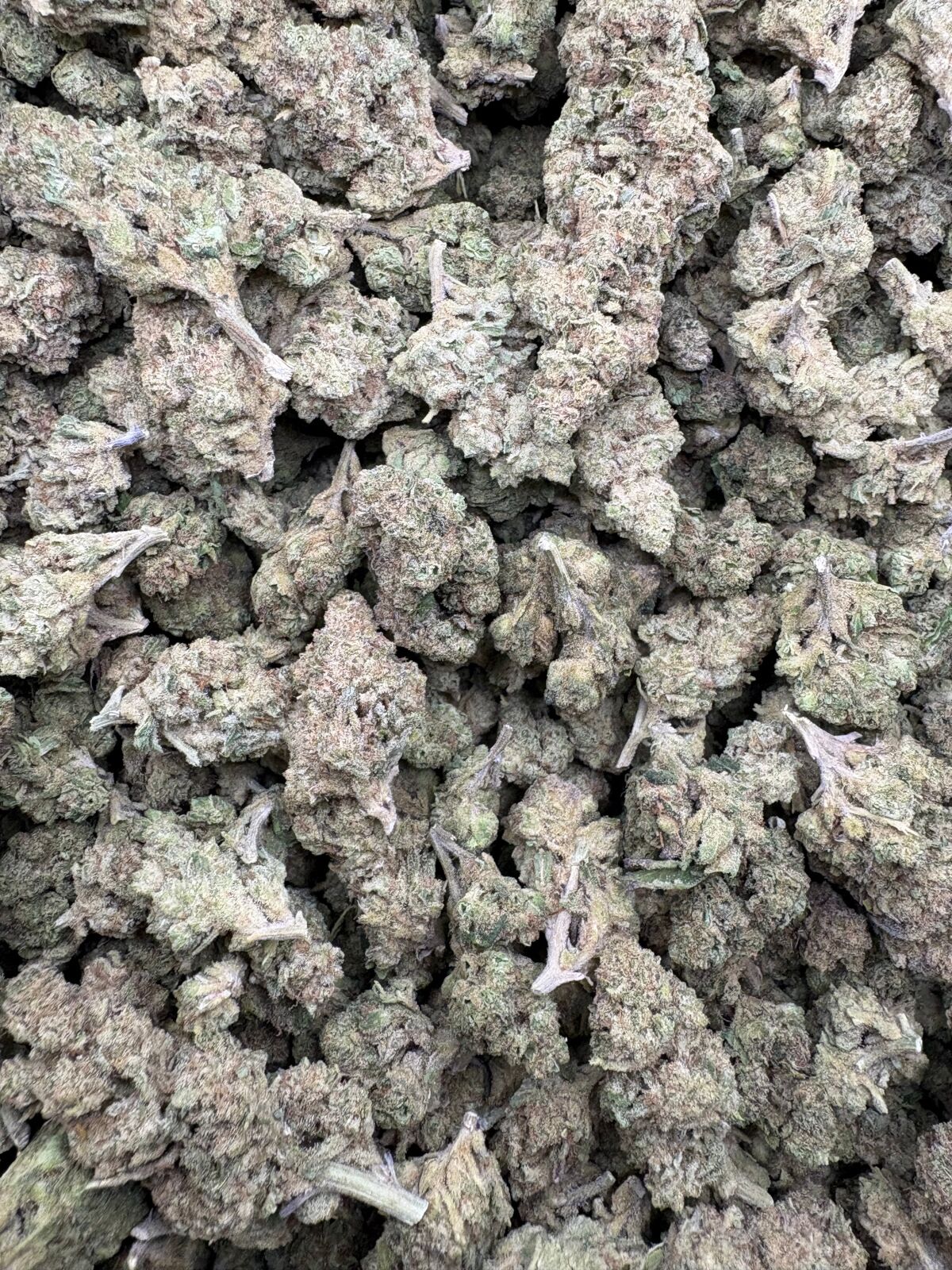 Spritzer Indoor Thca Flower Bulk Spritzer Indoor Thca Flower