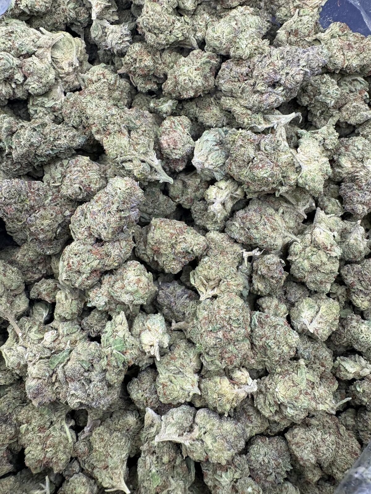 Yellow Cake Light Dep Thca Flower Bulk Yellow Cake Light Dep Thca Flower