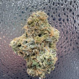 Gelato Zkittles Indoor THCA Flower