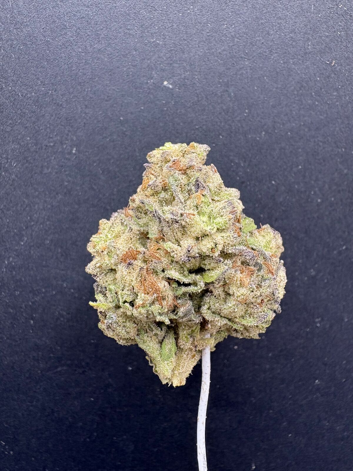 Oreoz Indoor Thca Flower Oreoz Indoor Thca Flower