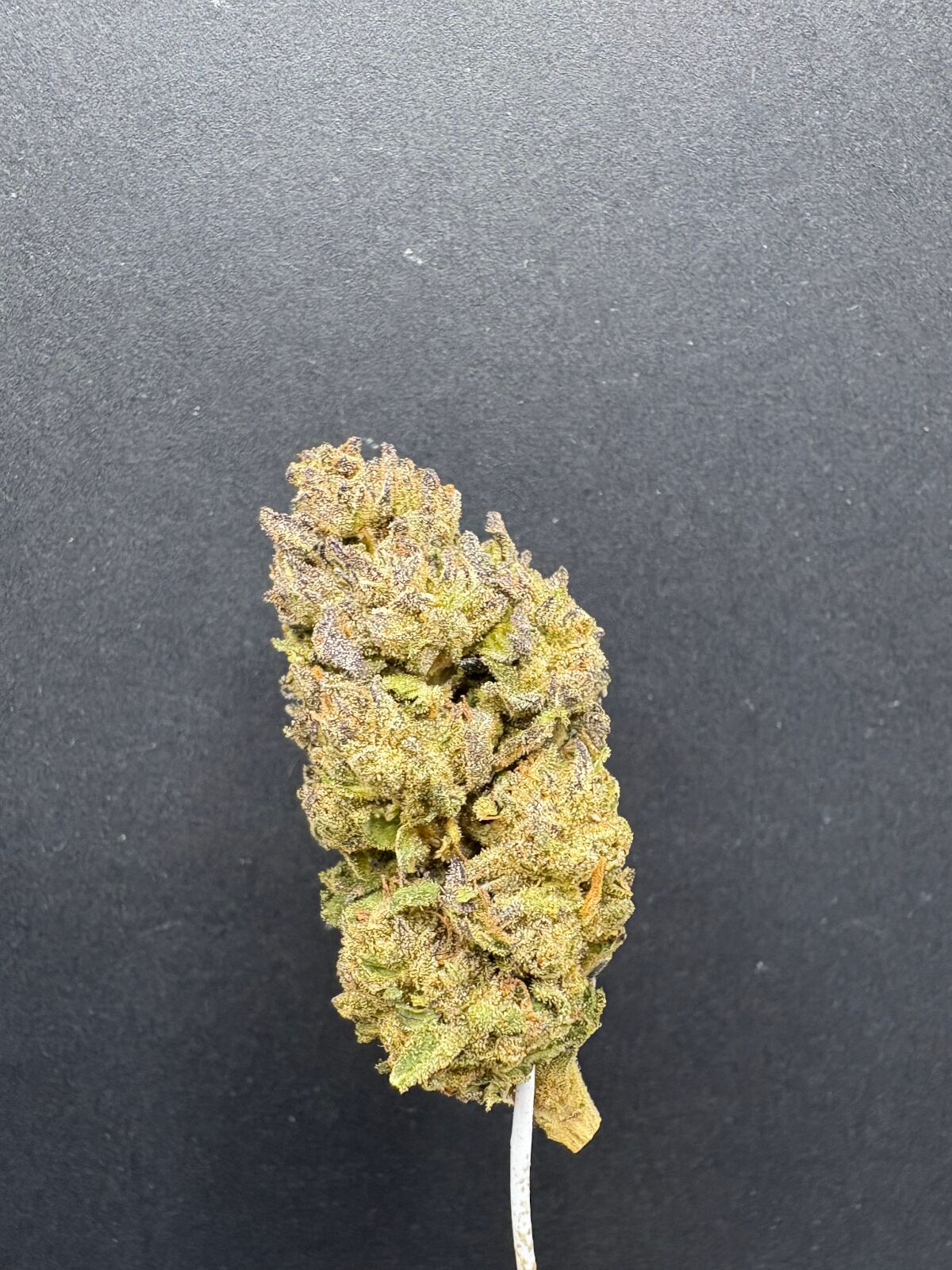 Sherb Cream Pie Light Assist Thca Flower Sherb Cream Pie Light Assist Thca Flower