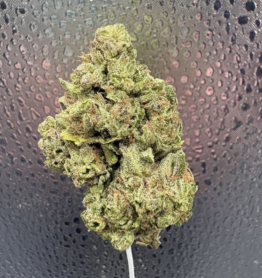 Uk Cheese Light Dep Thca Flower Uk Cheese Light Dep Thca Flower