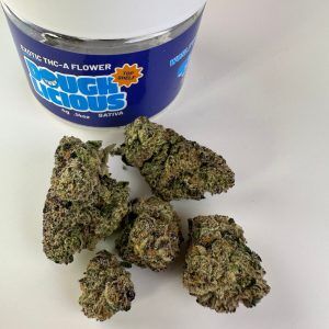 DoughLicious Blue Nerdz Exotic THCA Flower - Sativa