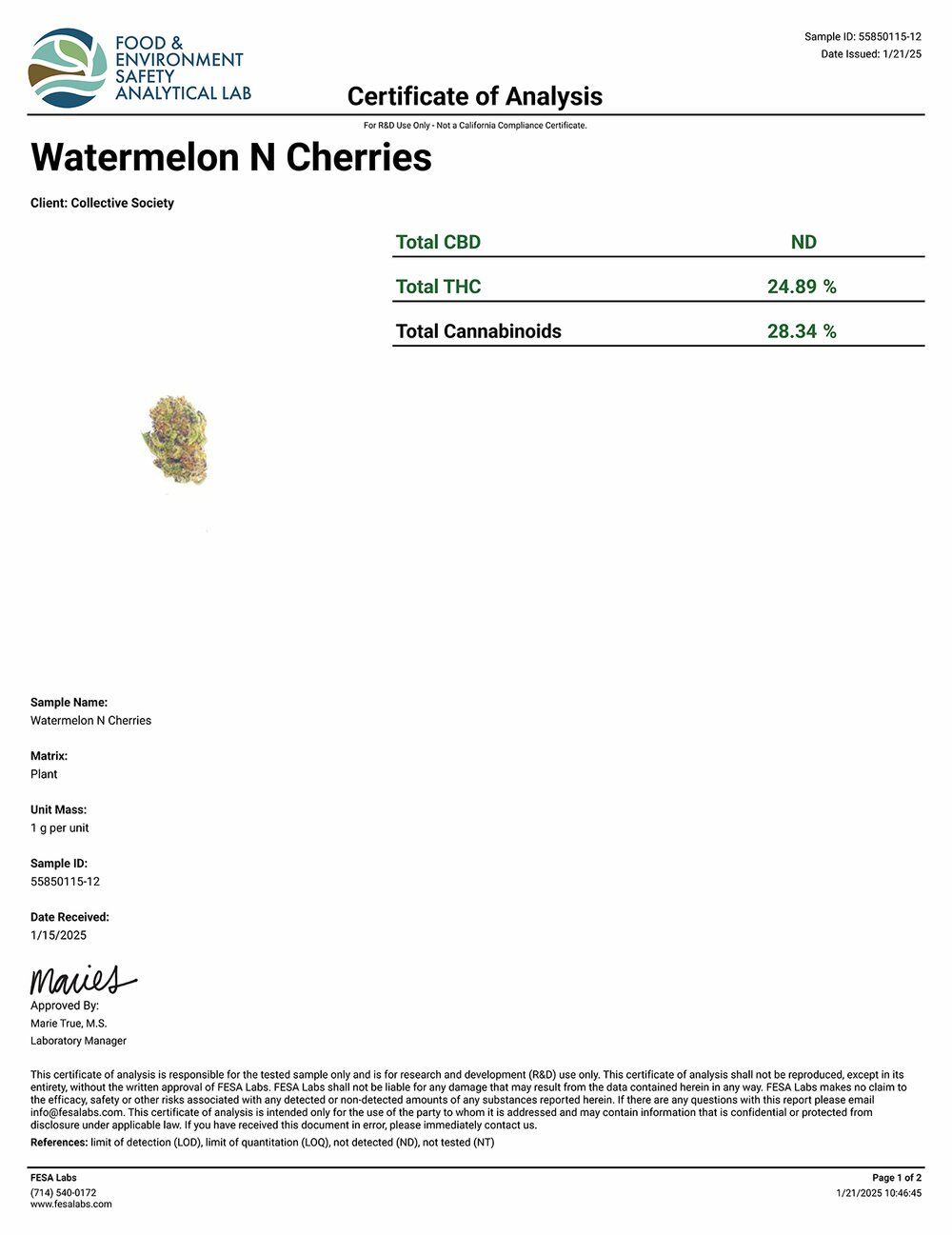 DoughLicious Watermelon 'n Cherries Exotic THCA Flower COA 1-21-25