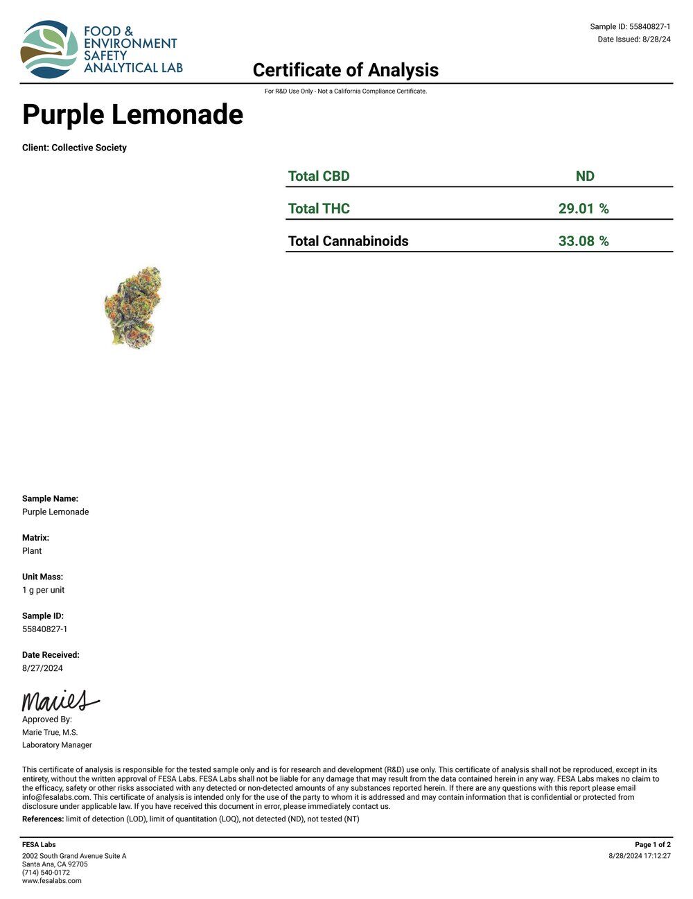 Lost Jane Purple Lemonade Exotic THCA Flower COA 8-28-24