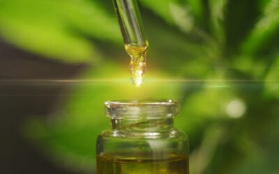 Cbd Blog Become A Cbd Seller: Your Guide To Selling Cbd Oil In Your Retail Store