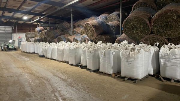 Biomass Bulk