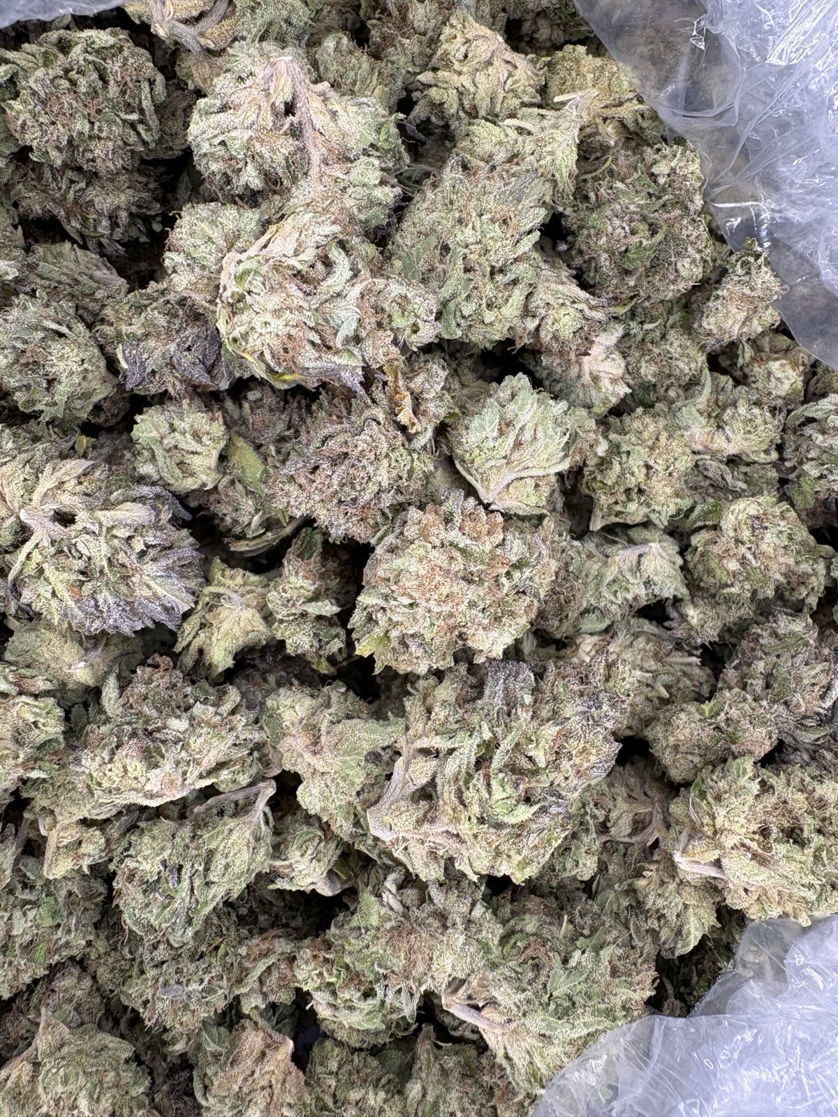 Pave Light Assist Thca Flower Pave Light Assist Thca Flower