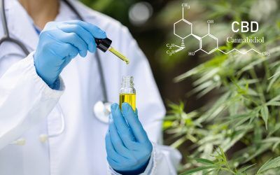 Cbd Blog Decoding Cbd Extraction: Unveiling The Scientific Methods