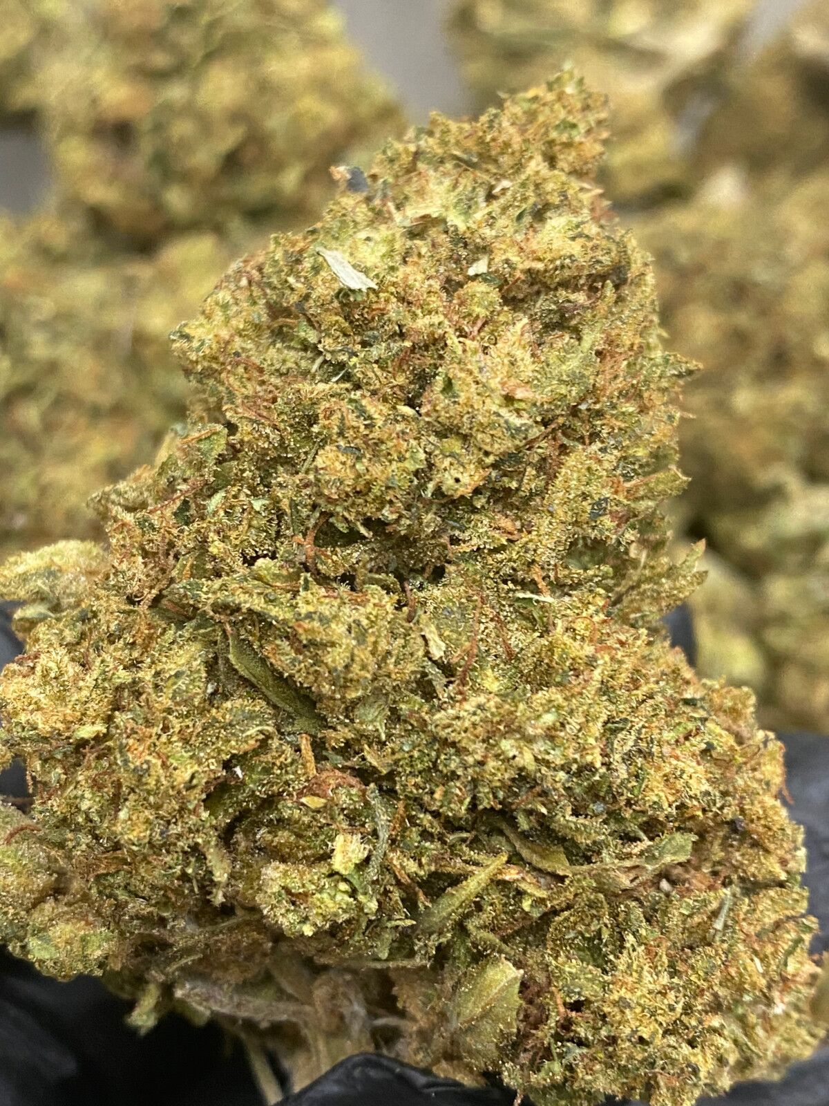 Cake Cbd Flower Bulk Cake Cbd Flower