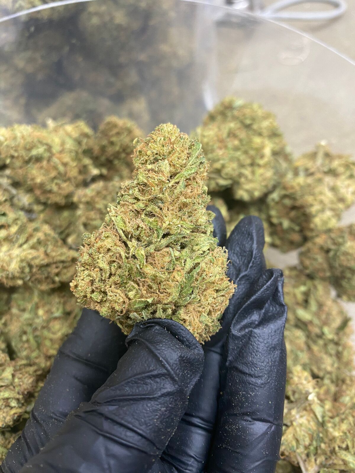 Sour Chem Cbd Flower Bulk Sour Chem Cbd Flower