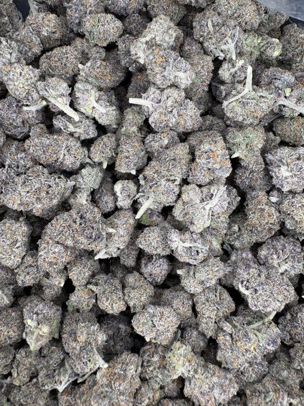 Black Runtz Indoor Thca Flower